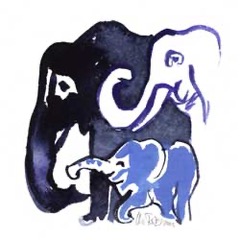 Doppelkarte Elefanten