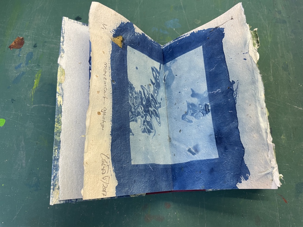 Buch mit Cyanotypie - Ulrike Franz