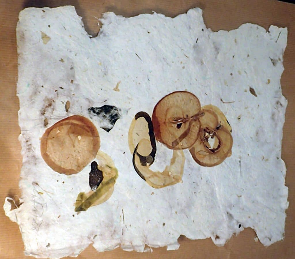 Baumwollpapier mit Apfel und Kürbis