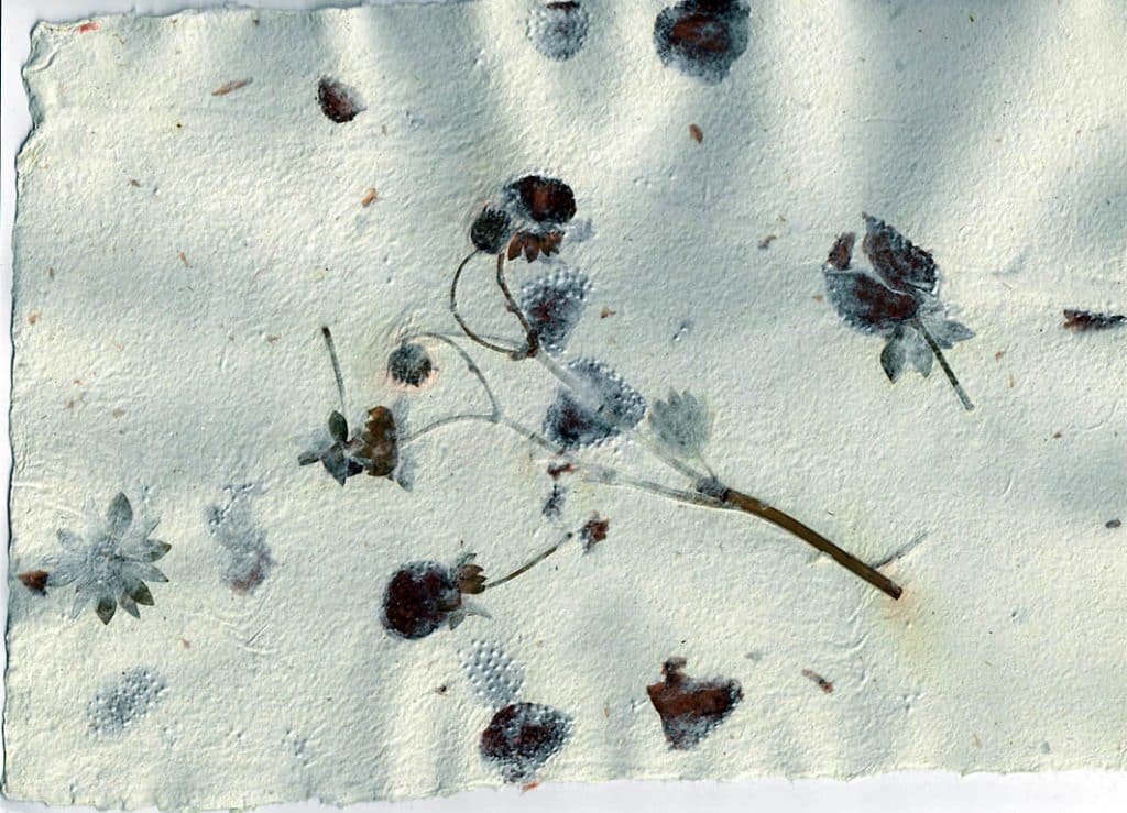 Baumwollpapier-mit-Erdbeeren