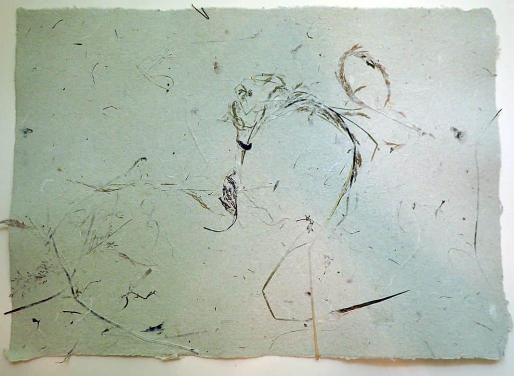 Baumwollpapier mit Graesern