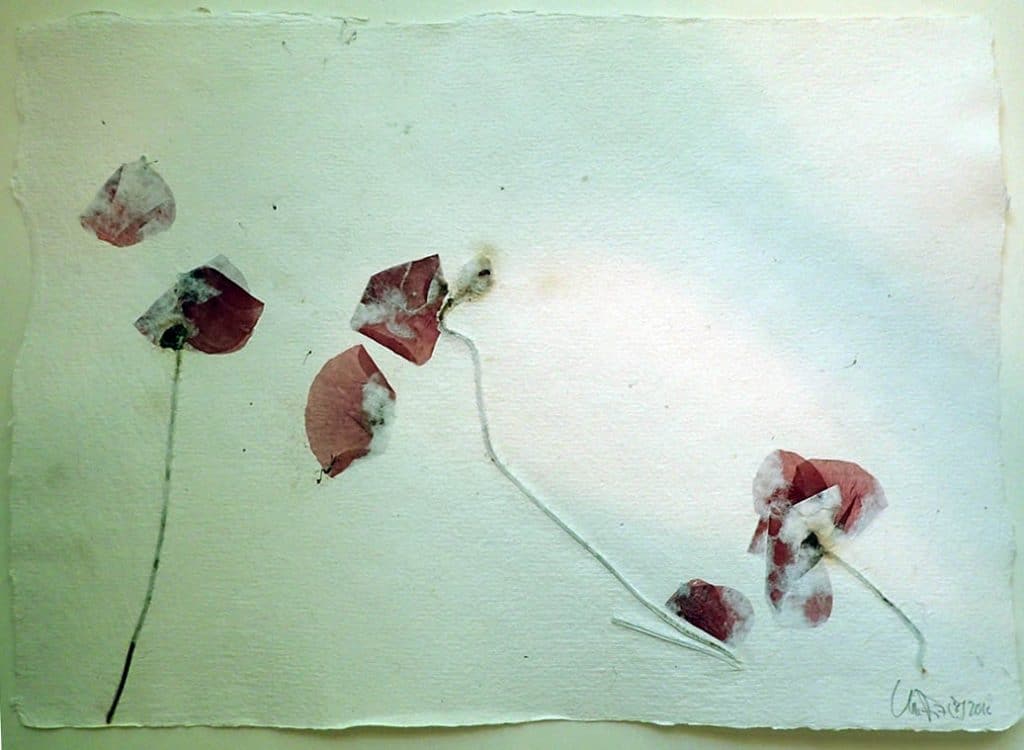 Baumwollpapier mit Mohn