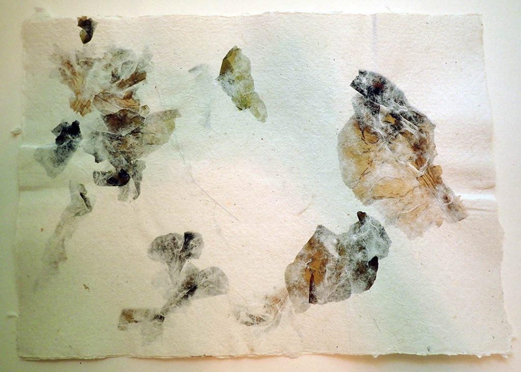 Baumwollpapier mit Salatblaettern