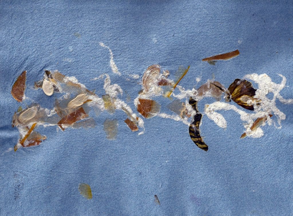 Jeanspapier-mit-Kuerbissen