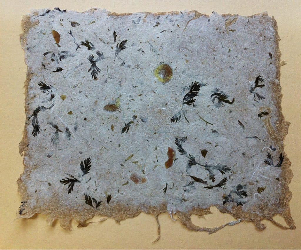 Leinenpapier mit Kräutern