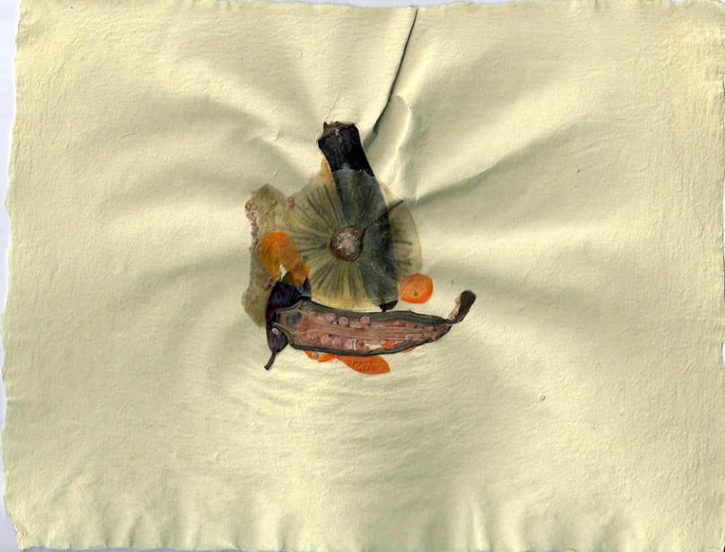 Leinenpapier-mit-Okra-und-Paprika