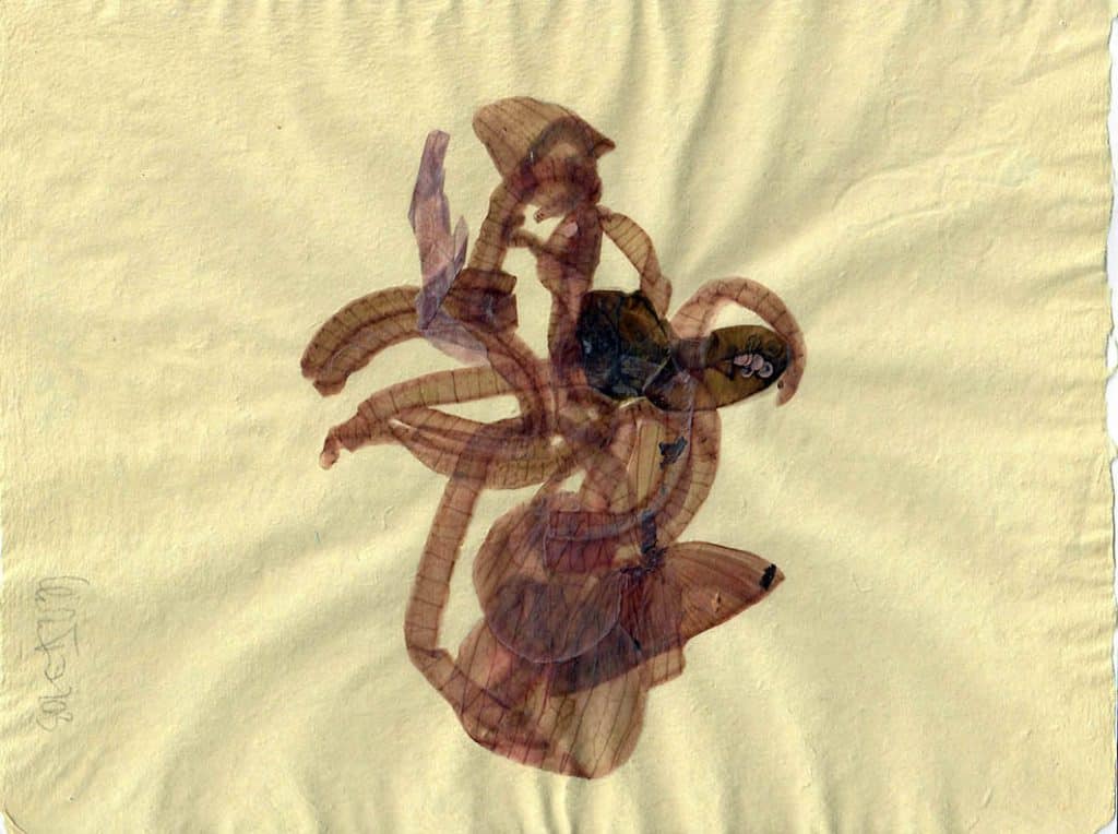 Leinenpapier-mit-Zwiebeln