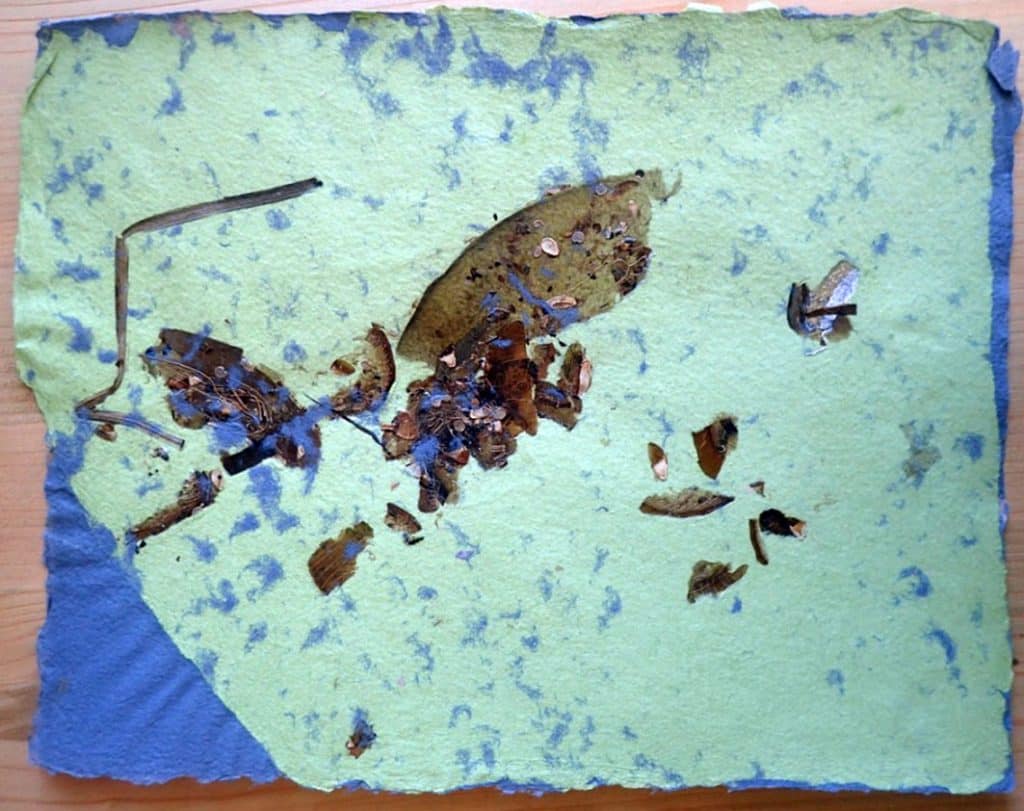 Pulpenmalerei-auberginen