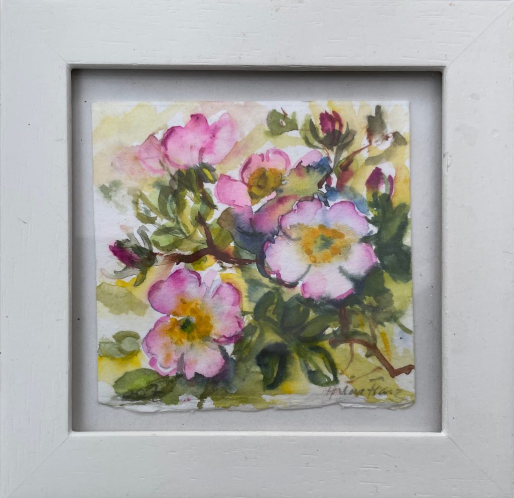 Wildrosen, Aquarell-Miniatur - Hilde Franz