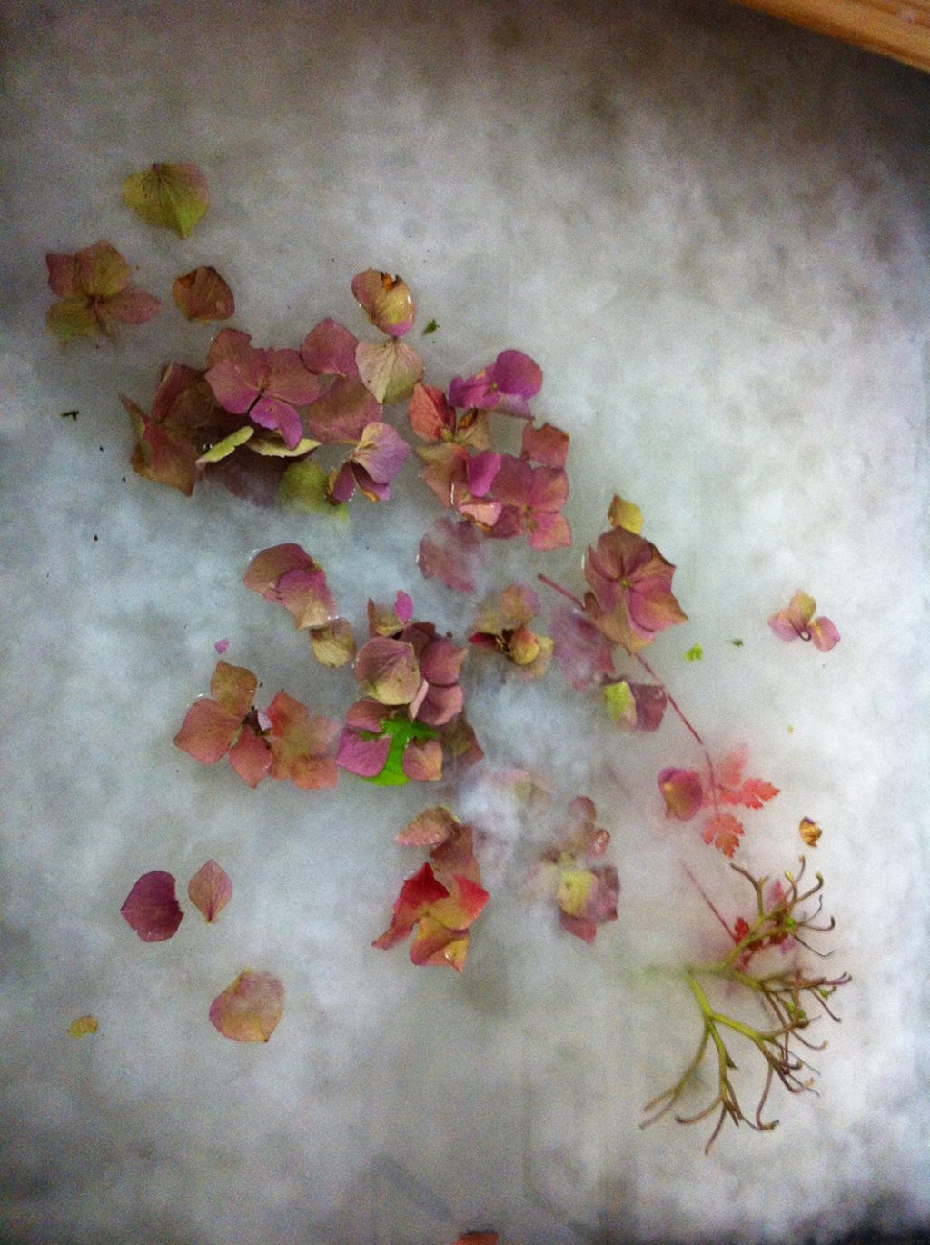 Papierpulpe mit Hortensienbluetenblaettern